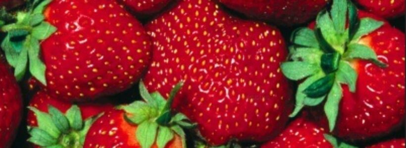 frutas_que_ayudan_a_rebajar