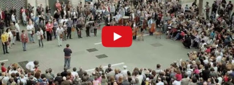 musico-plaza-sorpresa