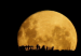 114124_pngbase64fea144639b3890ba_principal