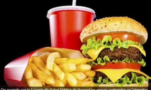 comida_chatarra