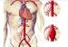 enfermdad_del_corazon