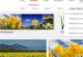 google-actualiza-buscador-imagenes-300x300