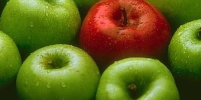 manzanas556478