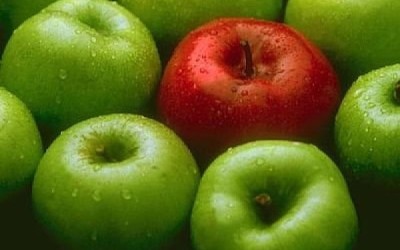 manzanas556478