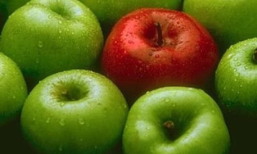 manzanas556478