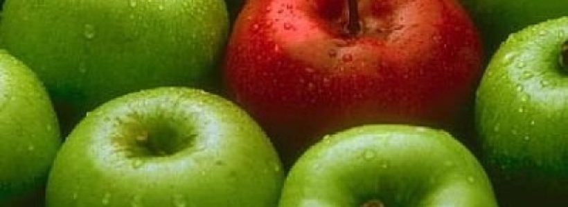 manzanas556478