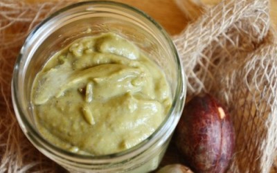 Acondicionador.de_.aguacate-500x325