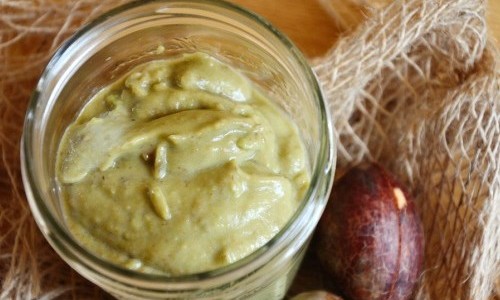 Acondicionador.de_.aguacate-500x325