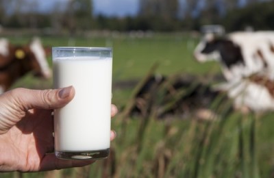 Leche-de-vaca-500x325