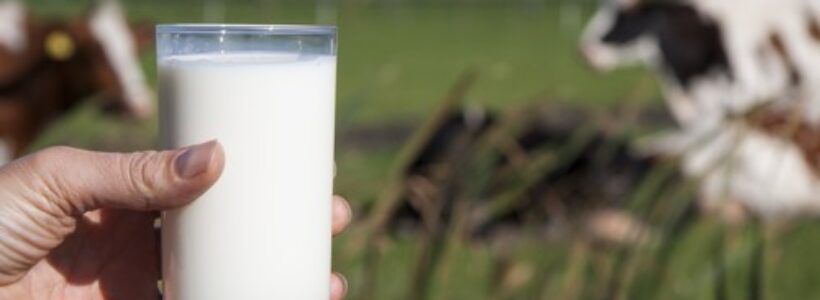 Leche-de-vaca-500x325