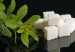 Sustitutos-azucar-500x325