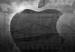 apple_bolsa-300x224