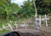 cruces_en_carretera_pop-navarrete