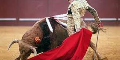 el_toro_y_lo_rojo