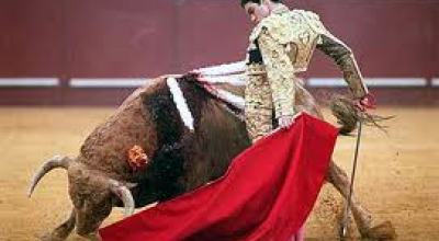 el_toro_y_lo_rojo