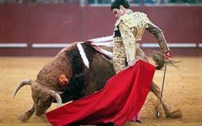 el_toro_y_lo_rojo