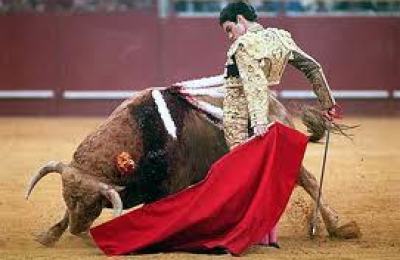 el_toro_y_lo_rojo