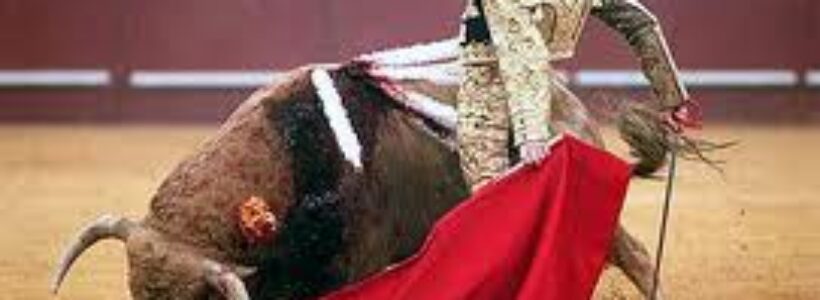 el_toro_y_lo_rojo