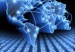 internet_en_el_mundo
