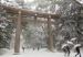 nieve_para_fabricacion_de_vehiculo