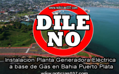 pop-planta-300x202