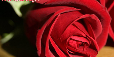 postales-san-valentin-p1