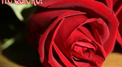 postales-san-valentin-p1