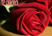 postales-san-valentin-p1