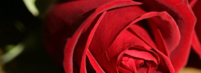postales-san-valentin-p1