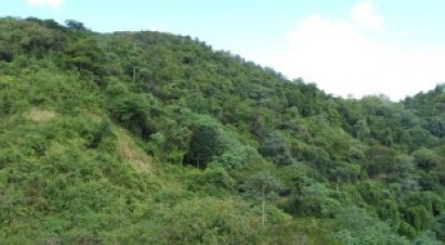 Loma-Miranda-300x225