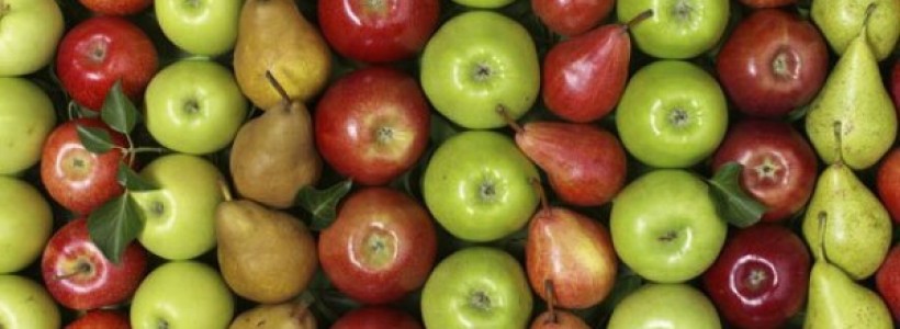 Manzanas-fresas-peras_diaporama_550
