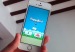 engadgetFlappyBird-eBay