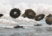 intercambio_de_fuego_entre_correas