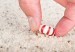 shutterstockBOMBONmenta_88886467